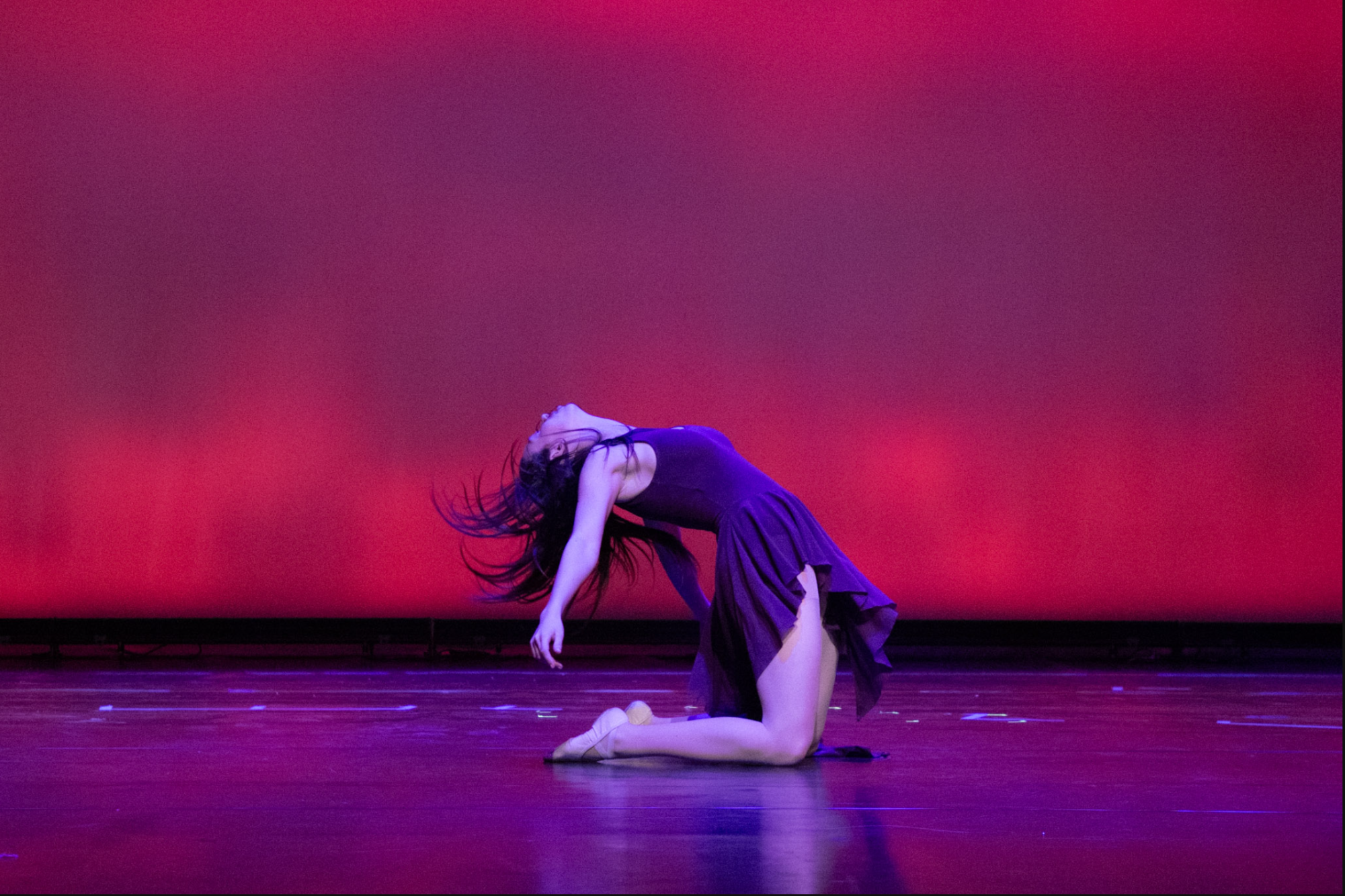 Van Nuys High School's Dance Company delivered an electrifying performance in "Elements of Motion," blending diverse styles and honoring seniors in a memorable showcase.