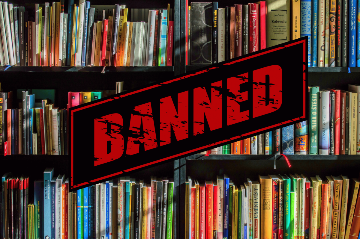 Controversial book bans spark national debate in schools