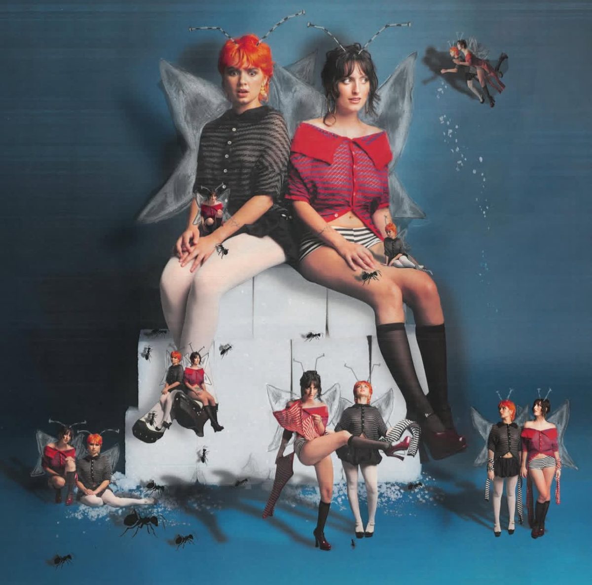 A BUG'S LIFE The Army, The Navy, the pop duo of Sasha Goldberg and Maia Ciambriello, unknowingly began their musical journey in her hometown of Mill Valley, California. They shared the same vocal coach and even attended the same university.