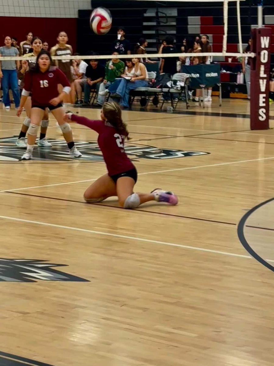 <b> Everybody Hit the Floor </b> Outside hitter Lauren Renard drops to the floor to dig a tough attack from the Cougars