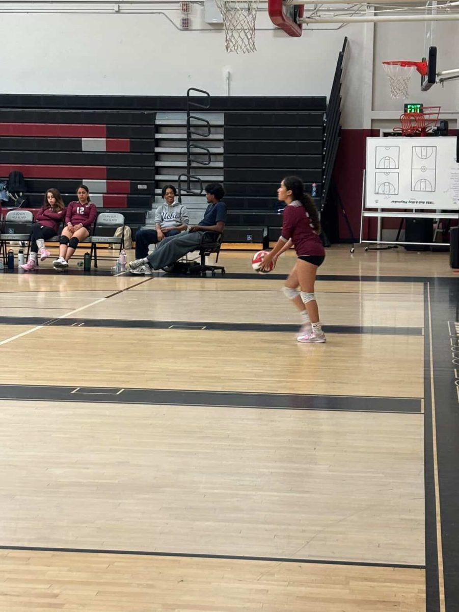 The Wolves’ volleyball team lost to Kennedy in a 3-0 home game but looks ahead to Reseda this week.