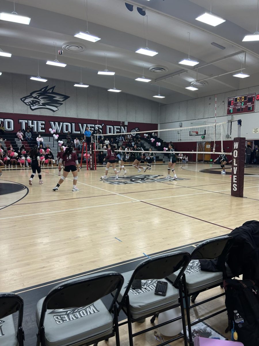 Senior night ends in loss for Wolves against Canoga Park Hunters