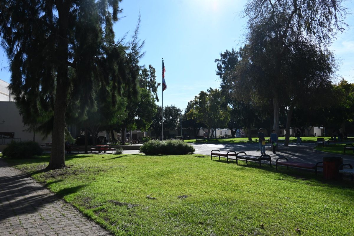 The soft sunlight shines over the green grass, giving us a lovely view of our school grounds.  

