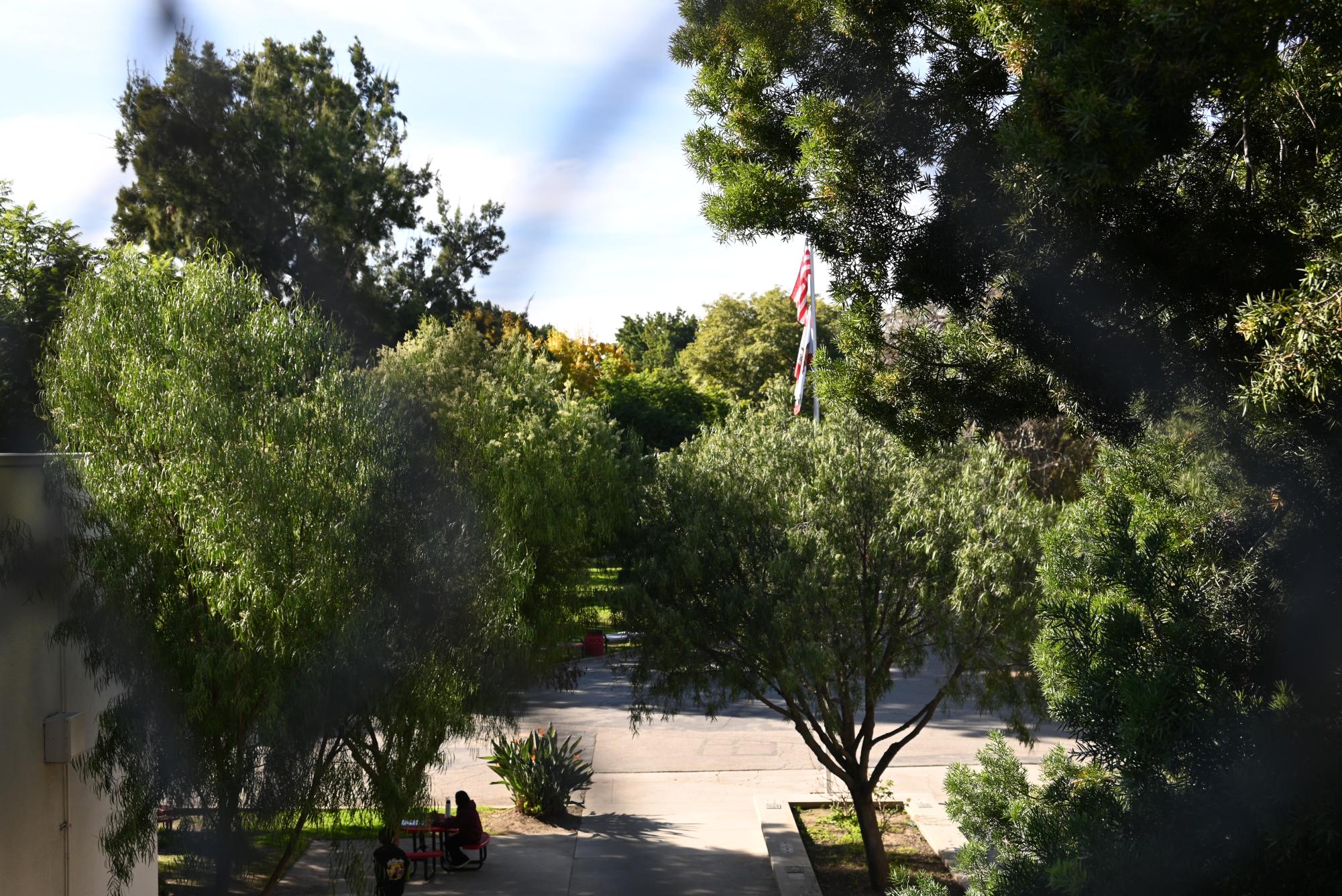 Our campus is constantly changing as seasons come and go, with colorful leaves and bare branches. Students, teachers, and staff across campus also continue to highlight the importance of cleaning our campus and ensuring it remains a beautiful place. 

