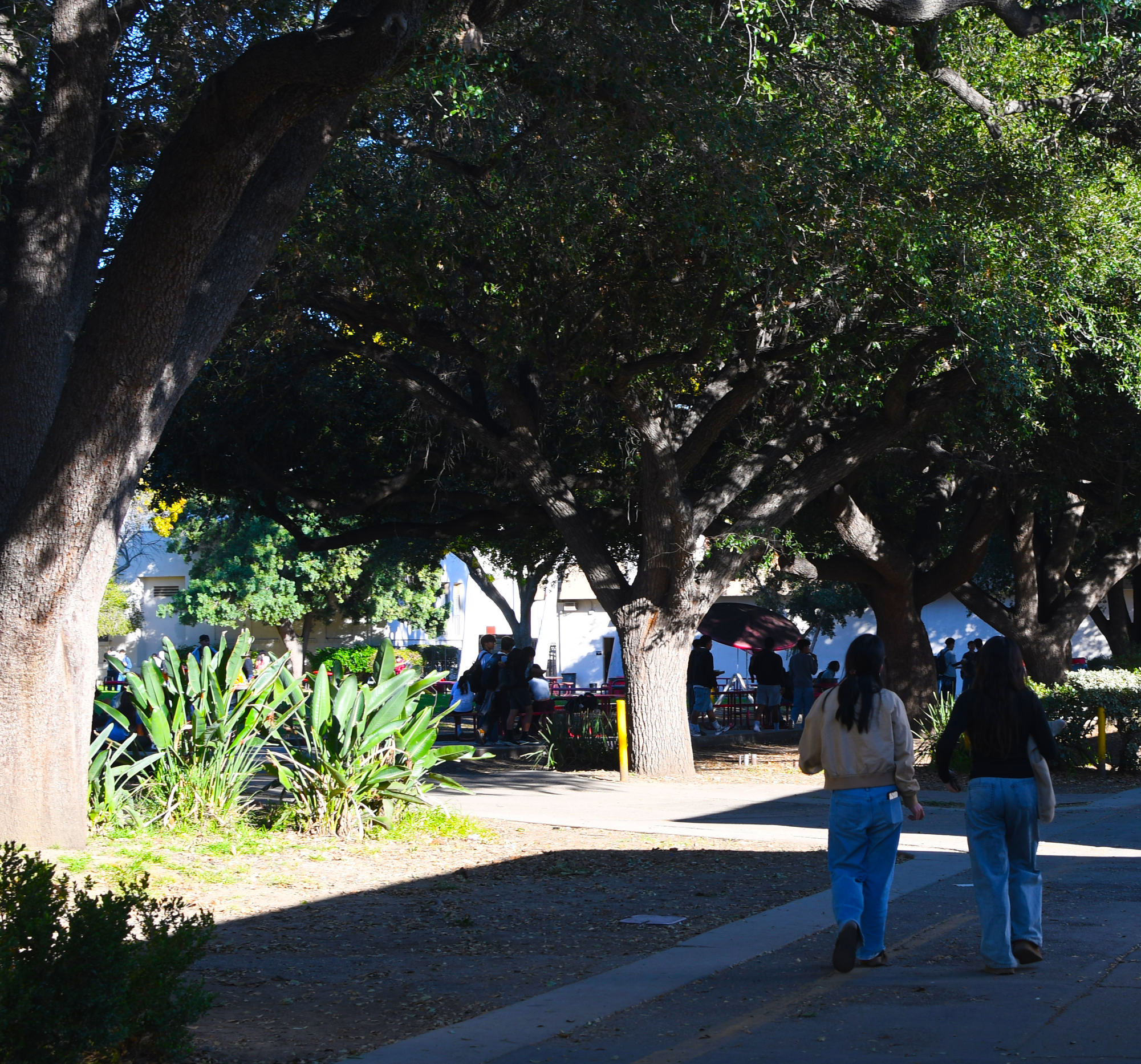 As each school day ends, many students stay after school instead of heading home right away to practice their sport or spend time with their friends. There are many after-school programs offered at Van Nuys High School, such as Educare, which allow students to spend more time after school with their peers before they head home. 

