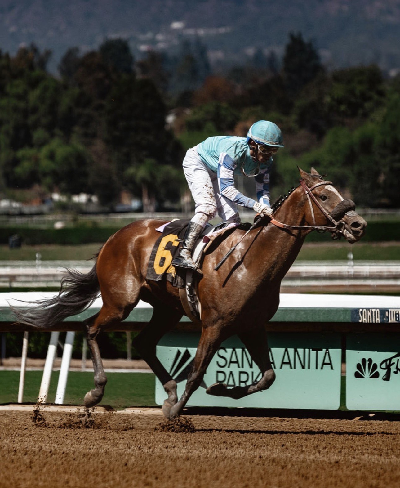Explore three L.A. highlights in one quick guide: La Brea Tar Pits for fossils, Walt Disney Concert Hall for music and design, and Santa Anita Park for live racing.