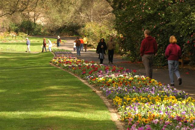 A photo of a Descanso Gardens walkway. Wikimedia Commons | David Liu