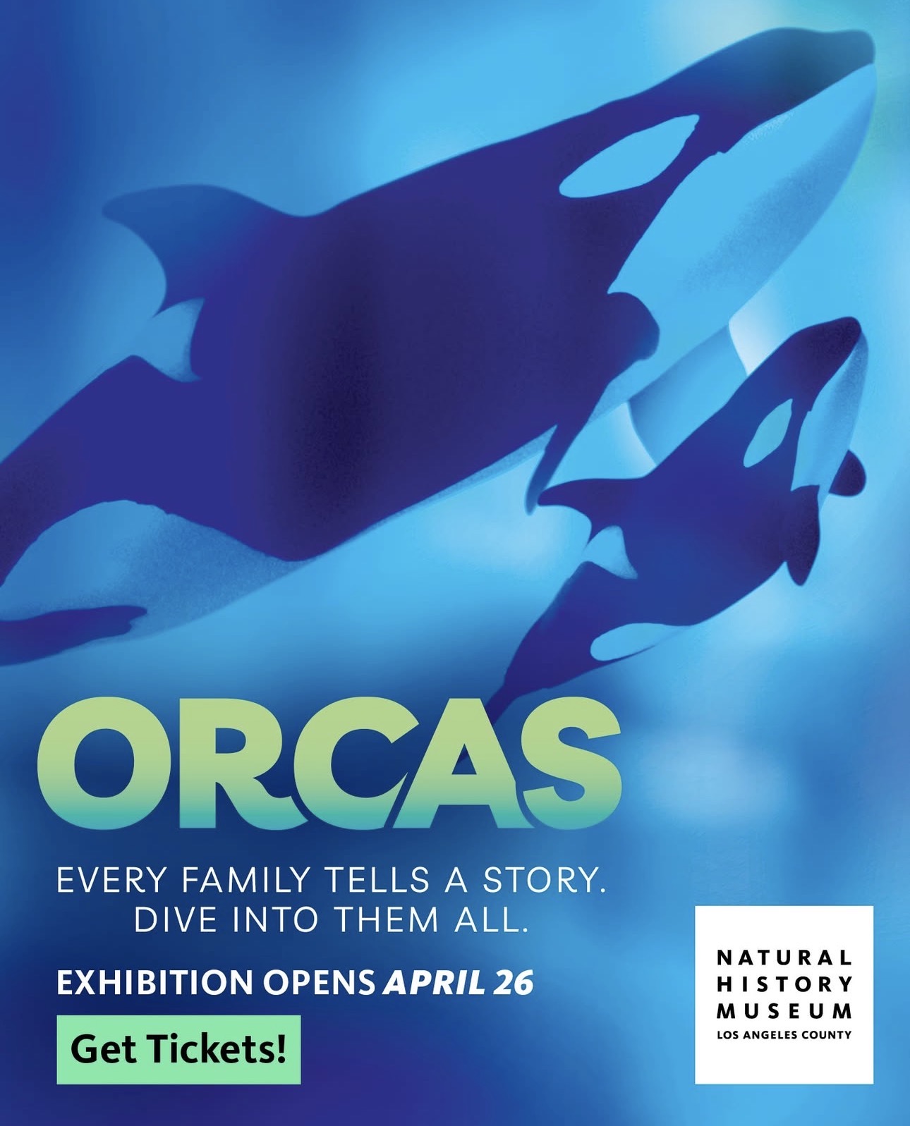 If you love sea life, specifically orcas - go see the orca exhibit at the natural history museum that opens on April 26
INSTAGRAM | @ nhmla