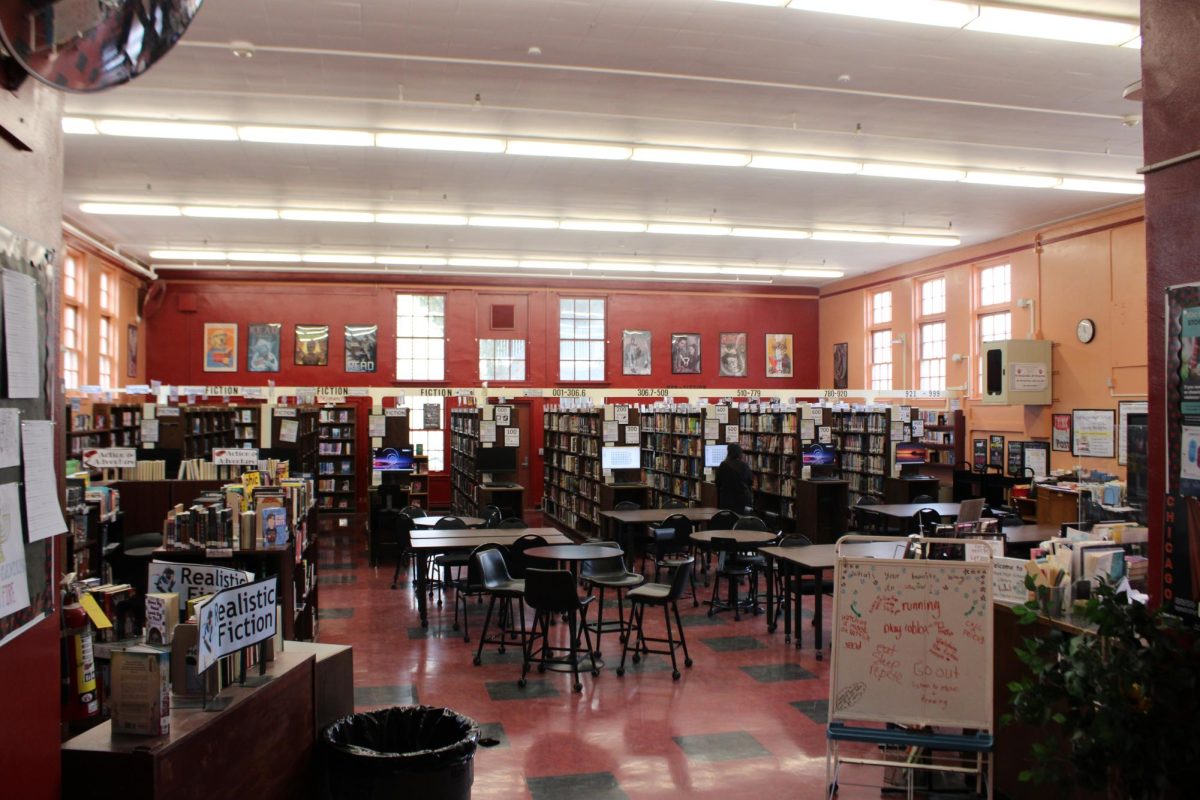Our VNHS library does not only hold knowledge but it holds opportunities for people to make new friends and relax. 
