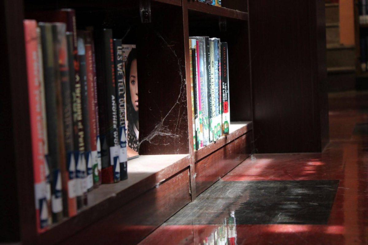 Books on a shelf, undisturbed for months. 